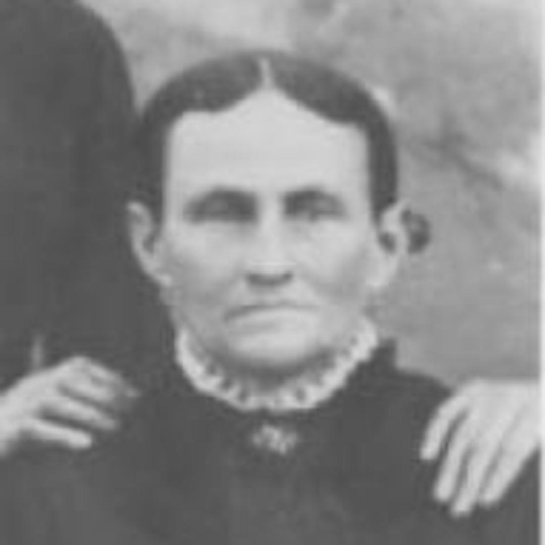 Julia Ann Brown (1833 - 1898) Profile